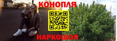 прущие грибы Малоярославец